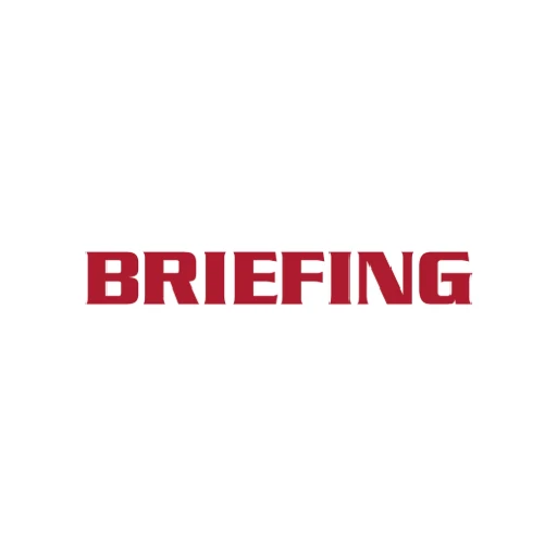 BRIEFING