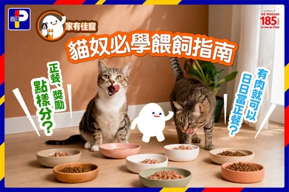 【家有佳寵】正餐、獎勵點樣分?