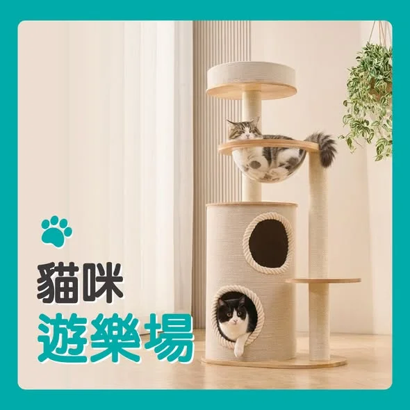 【毛孩放電必備!