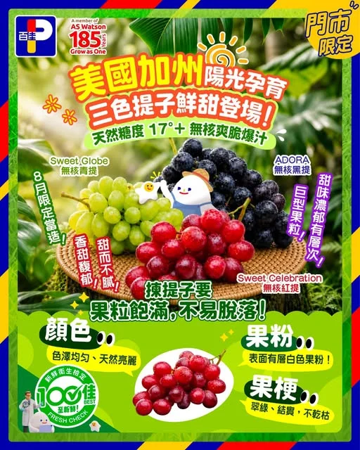 【鮮甜大解構】加州陽光孕育 美國三色提子鮮甜秘密大公開 🍇 擁有「地中海氣候」嘅美國加州中央河谷,一年有超過 300 日充沛陽光,加上日夜溫差極大,令提子喺樹