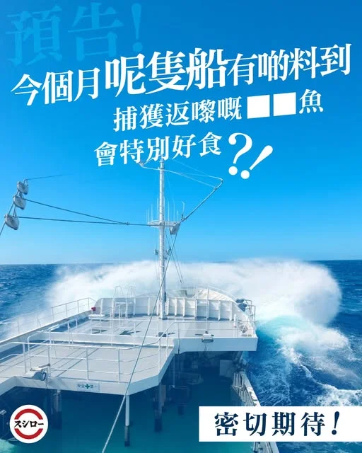 啲魚咩料?