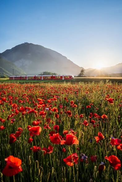【瑞士旅遊通票🇨🇭】限時額外免費送日數🚞🏔️ 立即預訂👉https://hk.trip.com/t/eGd4T18EMW2 - 去瑞士自由行,交通費往