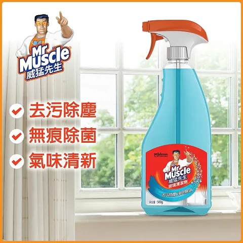 玻璃清潔劑 - 噴霧裝 500克