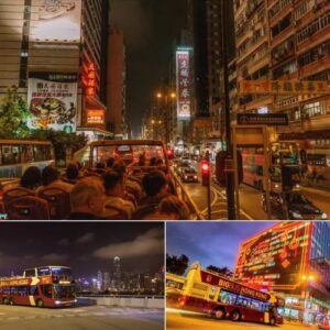 Trip:【8週年狂歡🎉】Big Bus香港觀光巴士遊買一送一🚌