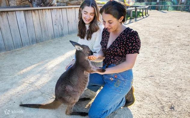 Klook:【#澳洲】全部低至買一送一🚨！澳洲4大一日遊推介🇦🇺