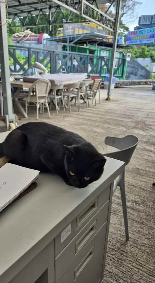 小欖海灘繽紛BBQ 場地全景