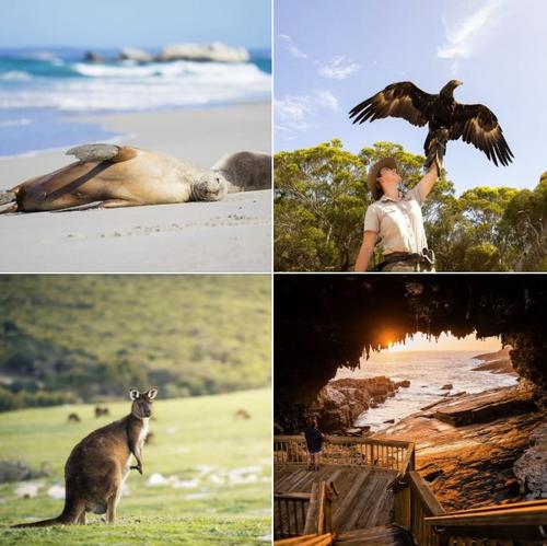 Trip:【南澳州探險指南】香港直飛阿德萊德嘅季節性航班返嚟喇✈️