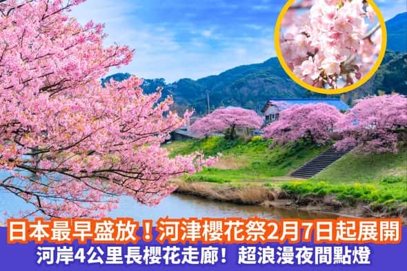 日本靜岡河津櫻花祭優惠活動