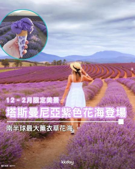 KKday 塔斯曼尼亞紫色薰衣草花海登場 一年一度花季限定行程