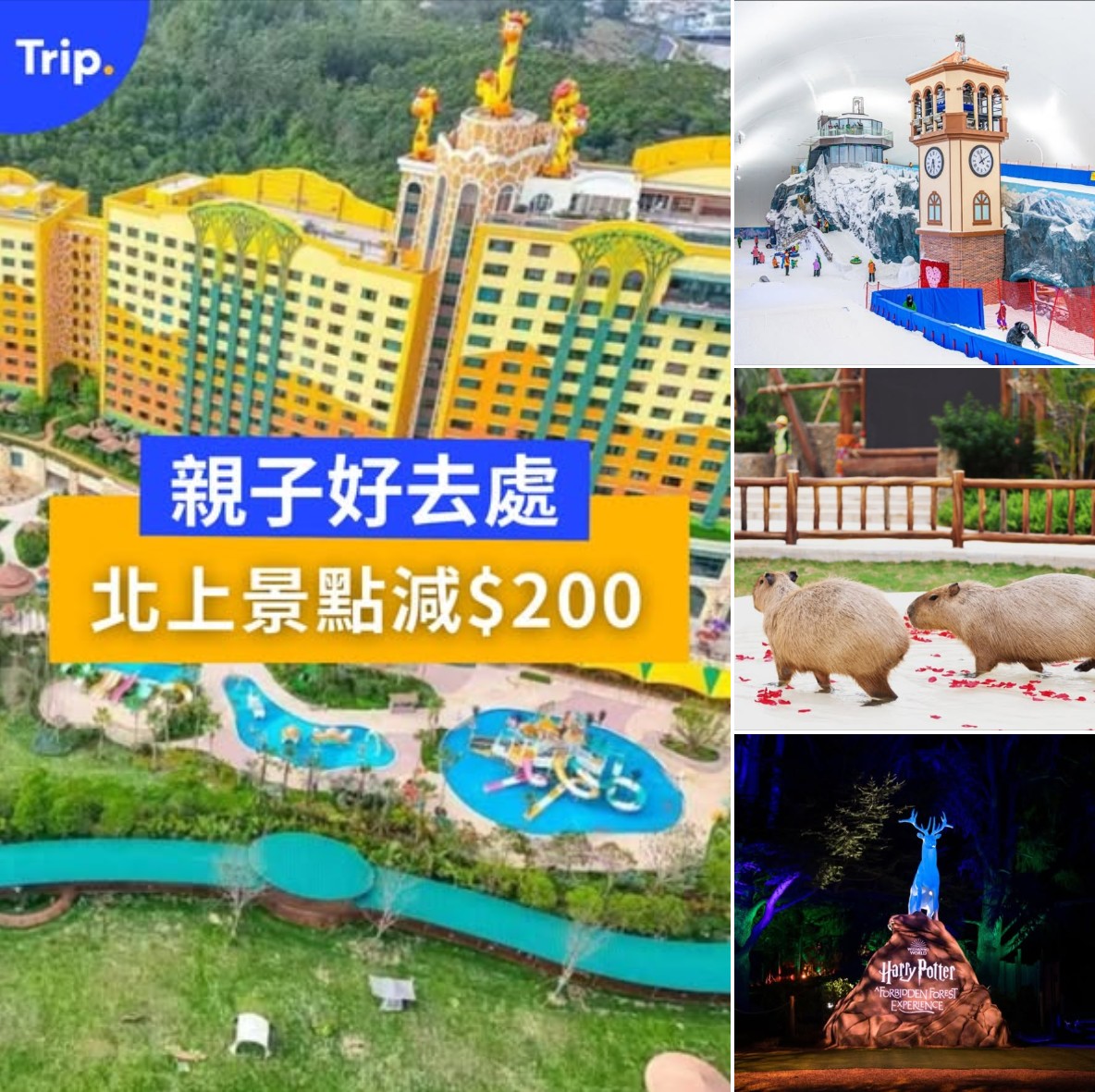 大灣區親子遊優惠