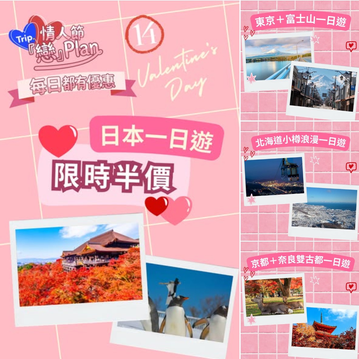 Trip.com 日本一日遊優惠