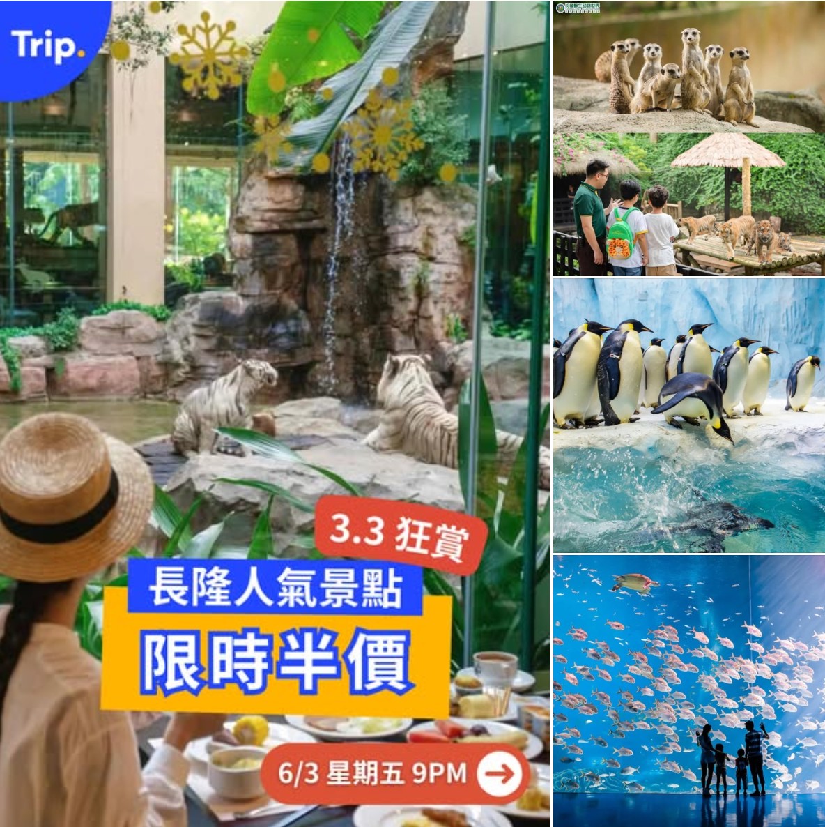 長隆海洋王國及廣州長隆野生動物世界親子旅遊優惠