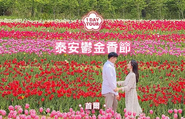KKday 早鳥優惠30% 首爾出發泰安鬱金香節及草莓採摘一日遊