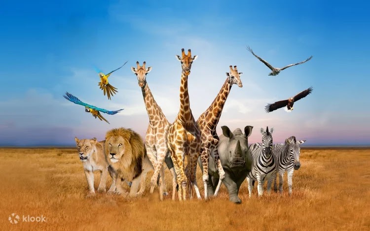 泰國景點優惠門票推介