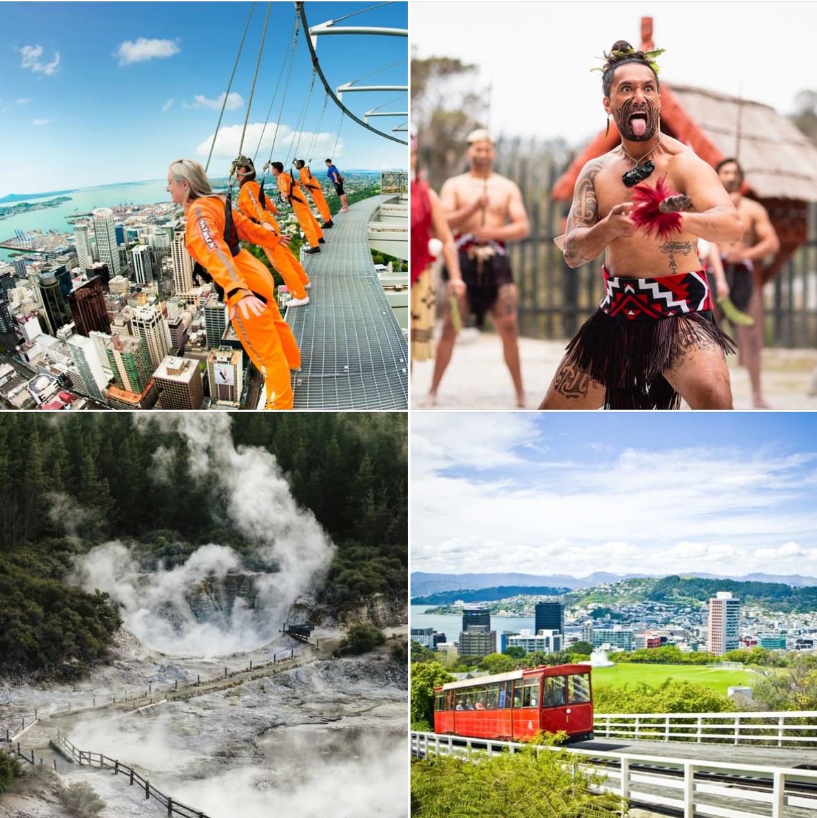 紐西蘭北島旅遊優惠行程