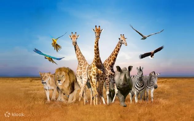 泰國初夏玩樂攻略:Klook 獨家 8 折優惠及 5 大必玩景點推介