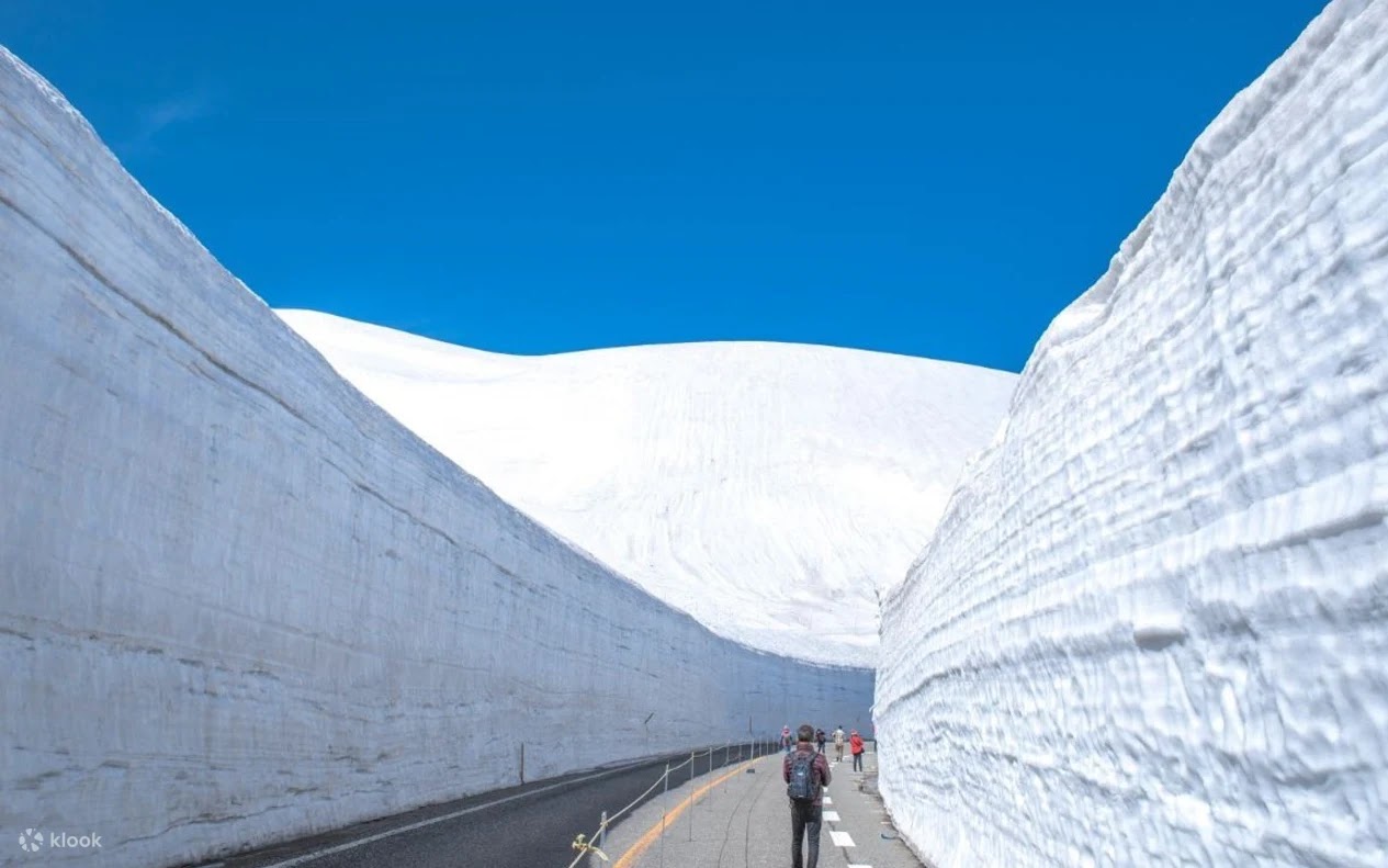 立山黑部阿爾卑斯山脈路線雪牆行程優惠