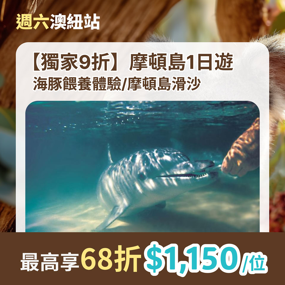 澳洲摩頓島一日遊優惠